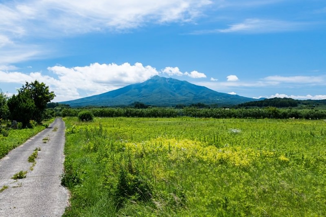 せっかく